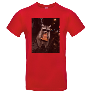 Rot